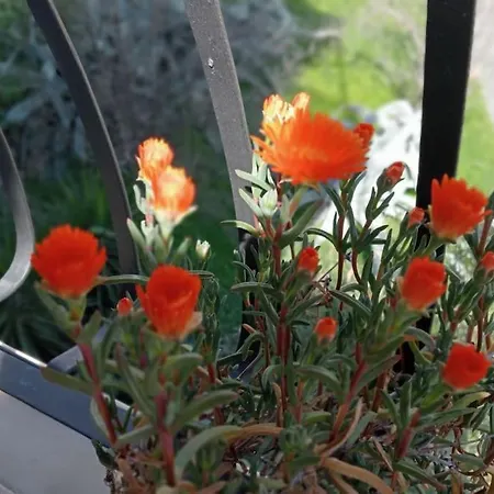 La Perla - In Centro A Con Garage Appartement *