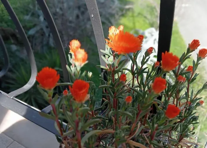 5 Terre, Lerici: La Perla, A 2 Passi Dal Mare Lägenhet *